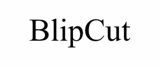 BLIPCUT