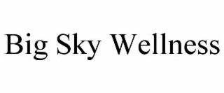 BIG SKY WELLNESS