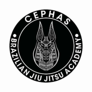 CEPHAS BRAZILIAN JIU JITSU ACADEMY