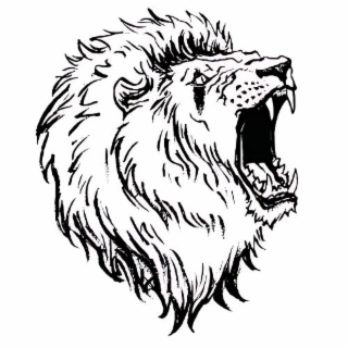 Image Trademark