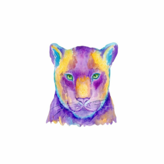 Image Trademark