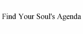 FIND YOUR SOUL'S AGENDA