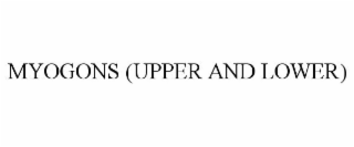 MYOGONS (UPPER AND LOWER)