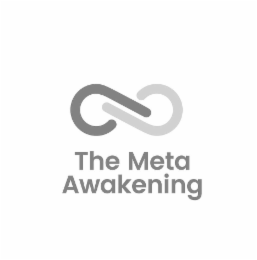 THE META AWAKENING