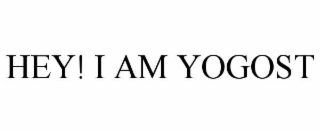 HEY! I AM YOGOST