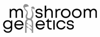 MUSHROOM GENETICS