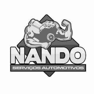 NANDO SERVIÇOS AUTOMOTIVOS