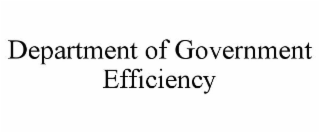 DEPARTMENT OF GOVERNMENT EFFICIENCY