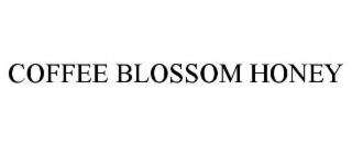 COFFEE BLOSSOM HONEY