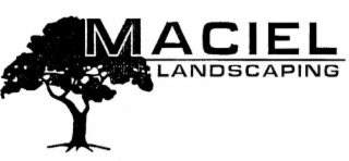 MACIEL LANDSCAPING
