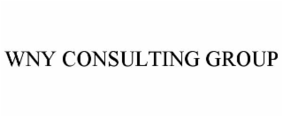 WNY CONSULTING GROUP