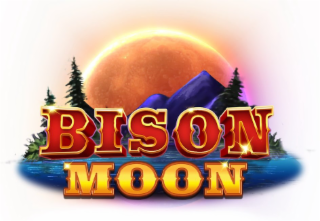 BISON MOON