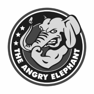 THE ANGRY ELEPHANT