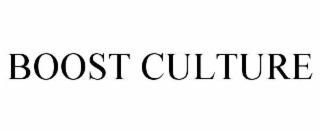 BOOST CULTURE