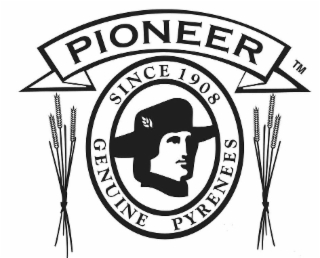 PIONEER SINCE 1908 GENUINE PYRENEES