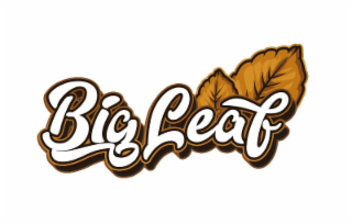 BIG LEAF