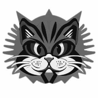Image Trademark