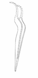 Image Trademark