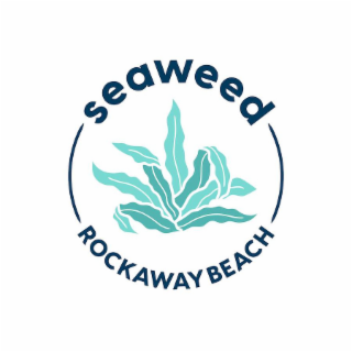 SEAWEED ROCKAWAY BEACH