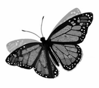 Image Trademark