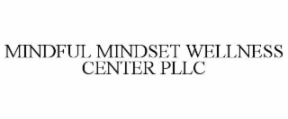 MINDFUL MINDSET WELLNESS CENTER PLLC