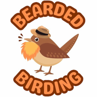 BEARDED BIRDING