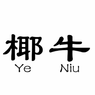YE NIU