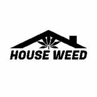 HOUSE WEED