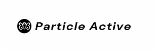 PARTICLE ACTIVE