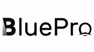 BLUEPRO