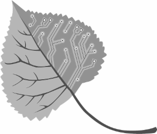 Image Trademark