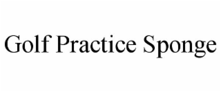 GOLF PRACTICE SPONGE