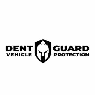DENT GUARD VEHICLE PROTECTION