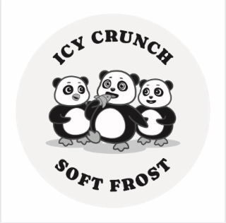 ICEY CRUNCH SOFT FROST