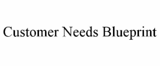 CUSTOMER NEEDS BLUEPRINT