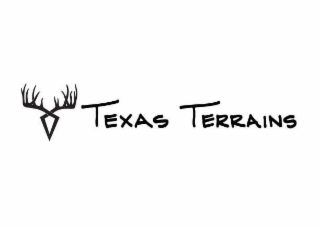 TEXAS TERRAINS