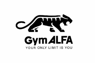 GYMALFA YOUR ONLY LIMIT IS YOU