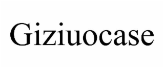 GIZIUOCASE