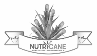 NUTRICANE SIMPLY NATURAL / SIMPLEMENTE NATURAL