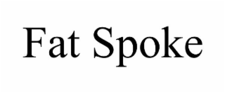 FAT SPOKE