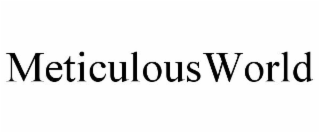 METICULOUSWORLD