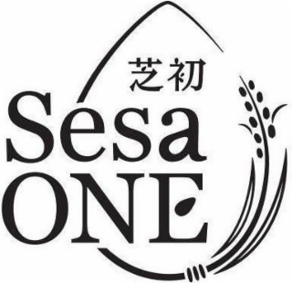 SESA ONE