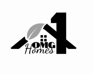 OMG HOMES 1