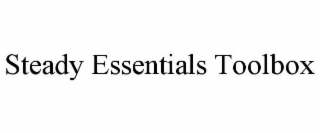 STEADY ESSENTIALS TOOLBOX