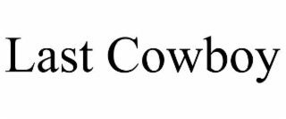 LAST COWBOY