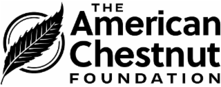 THE AMERICAN CHESTNUT FOUNDATION