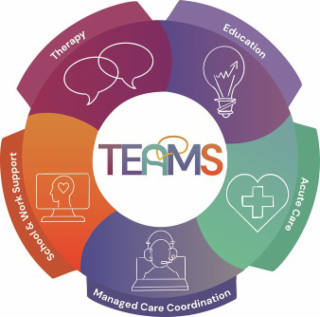 TEAMS THERAPY EDUCATION ACUTE CARE MANAGED CARE COORDINATION SCHOOL & WORK SUPPORT