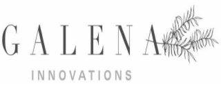 GALENA INNOVATIONS