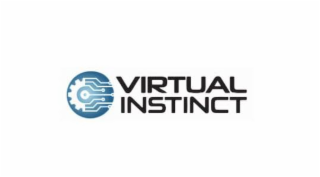 VIRTUAL INSTINCT