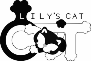 LILY'S CAT